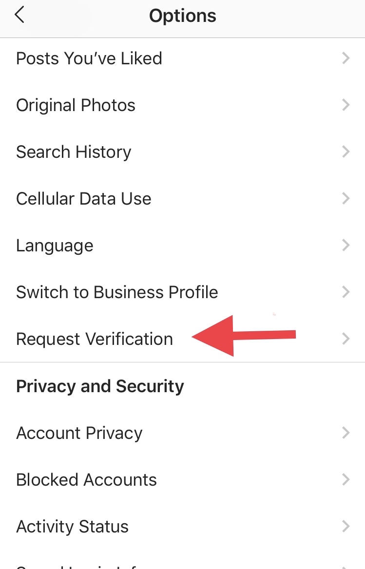 IMG_1388 How to Get Verified on Instagram: The Ultimate Guide