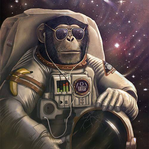 Boostly-Space-Monkey Thank You