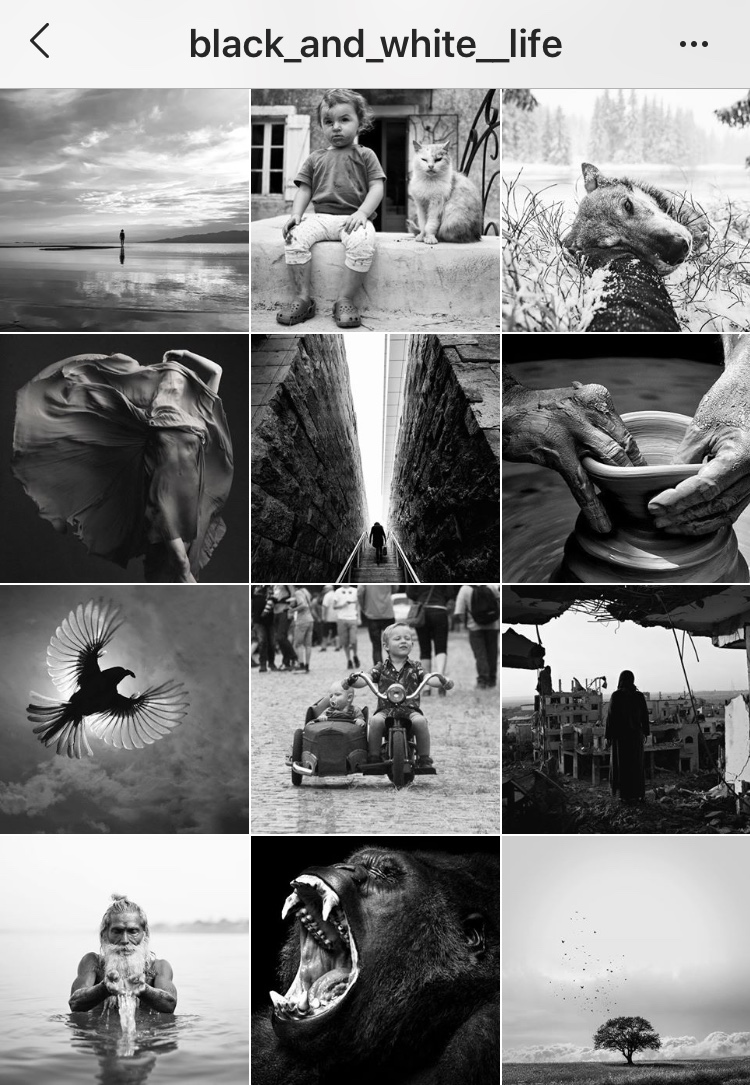 IMG_4572 26 Instagram Feed Themes That Will Give You Instant Inspiration